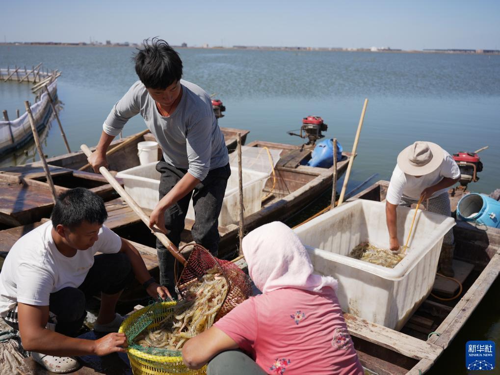 太阳游戏下载